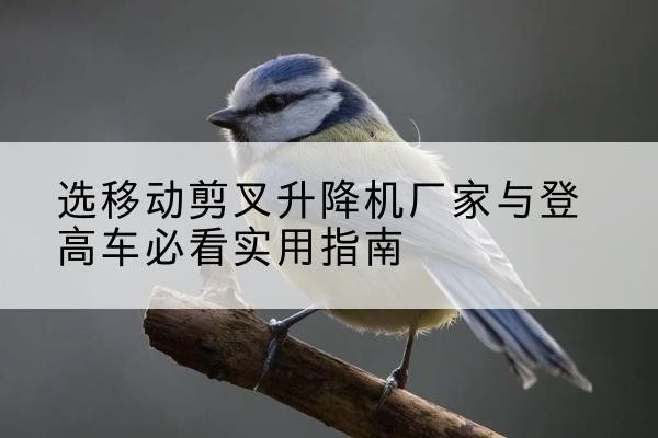 温泉电动升降机厂家-选移动剪叉升降机厂家与登高车必看实用指南