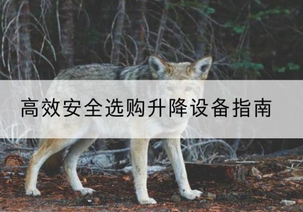 温泉升降货梯厂家推荐-*安全选购升降设备指南